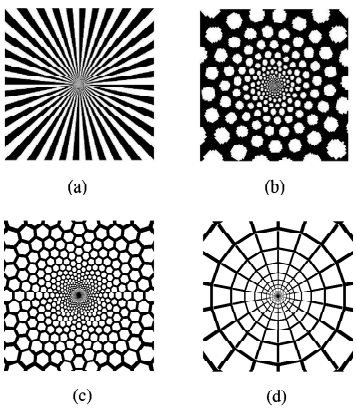 a) Funnels b) Spirals c) Honeycombs d) Cobwebs